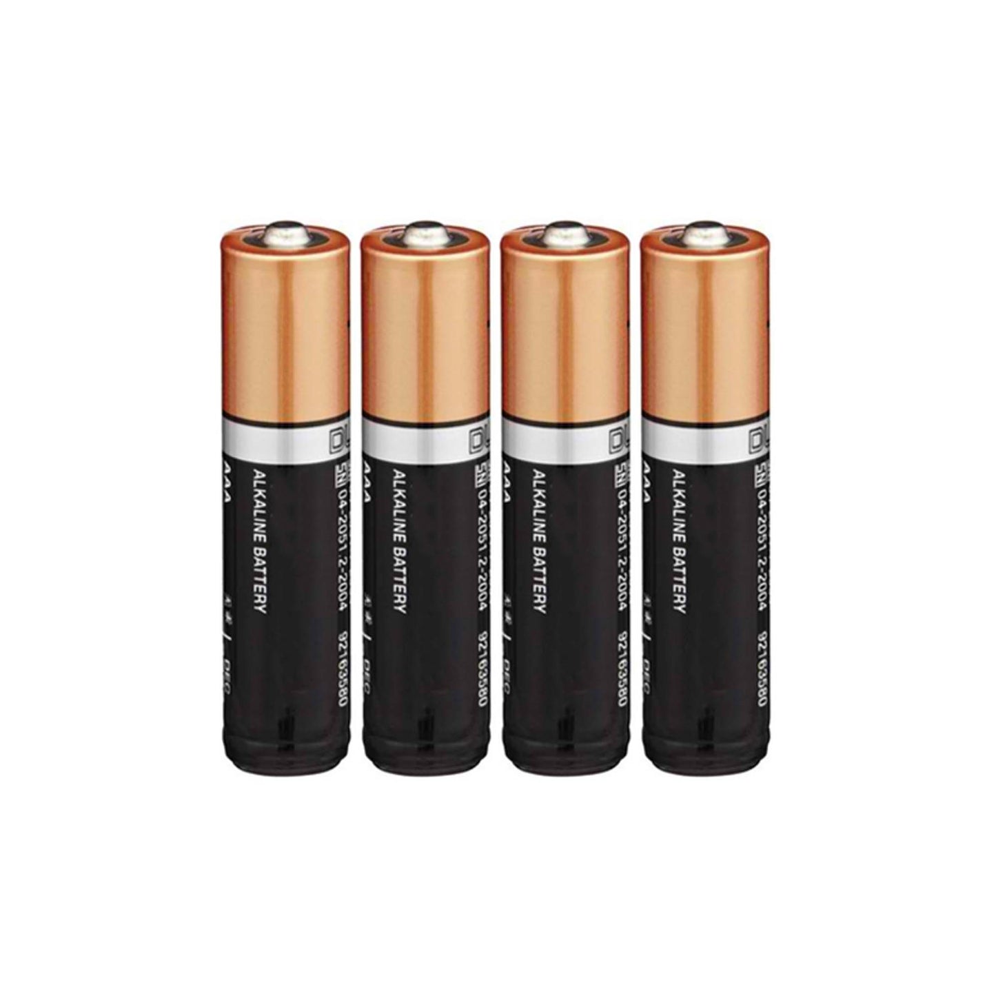 Panasonic RF-P50D Portable FM/AM Radio and 4x Panasonic Alkaline 2 "AA" Batteries