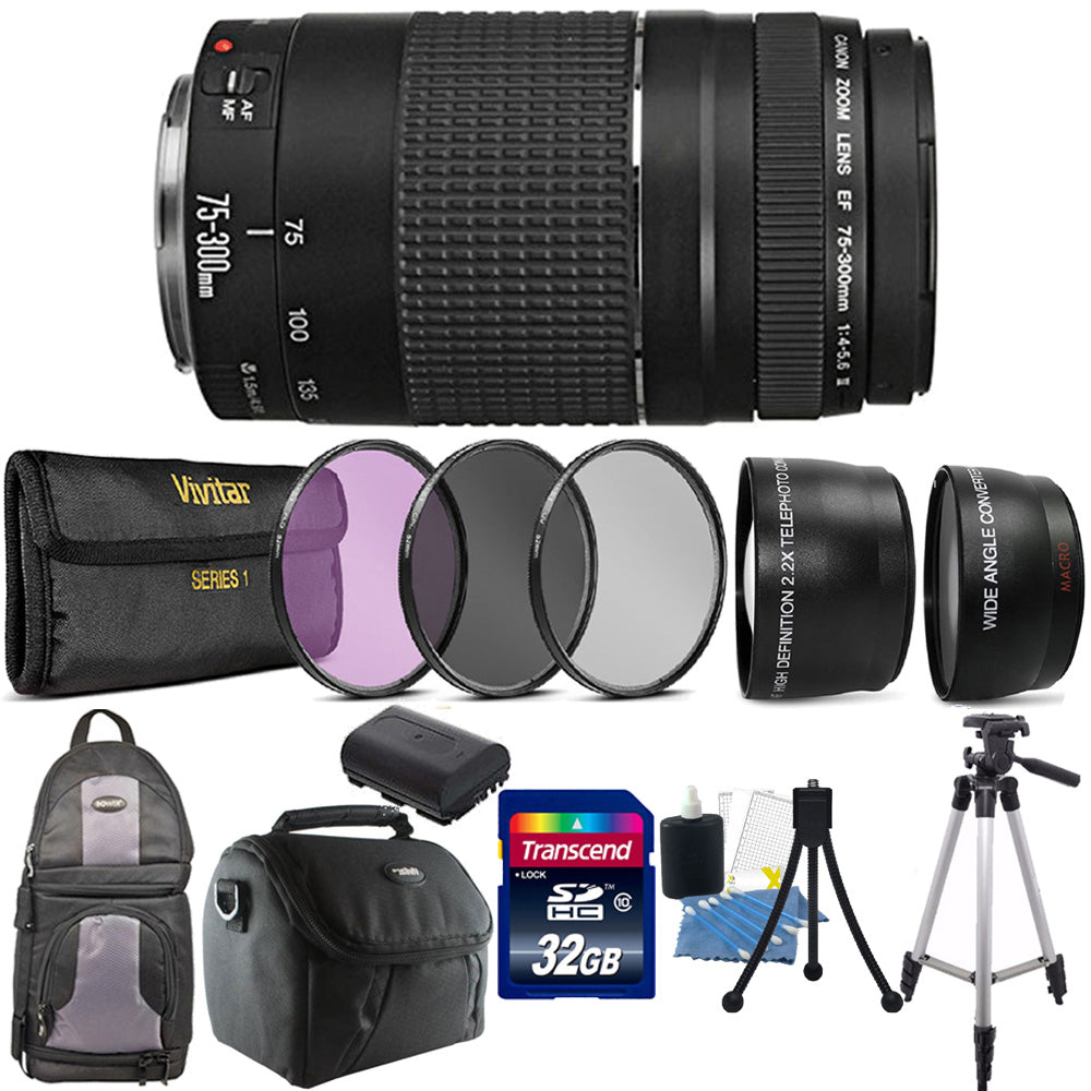 Canon EOS 6D Mark II レンズセット/Canon 75-300 Canon EOS 6D Mark IIレンズセットCanon EF75-300 Canon EOS 6D Mark