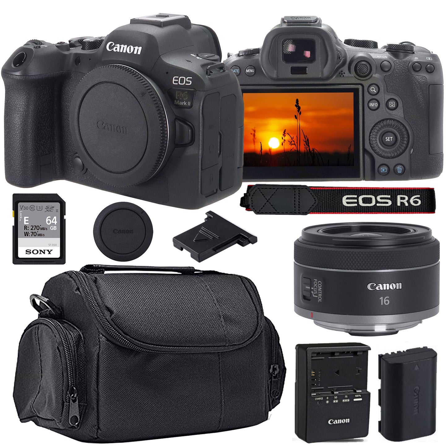 Canon EOS R6 Mark II Mirrorless Camera with Canon RF 16mm f/2.8 STM Ultra-Wide Angle Lens Basic Accessory Bundle