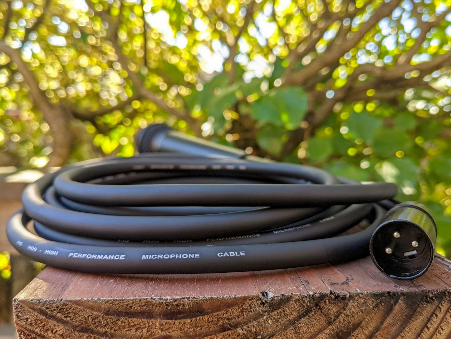 Pig Hog High Performance 8mm XLR Microphone Cable, 25 ft PHM25 - 5 Units