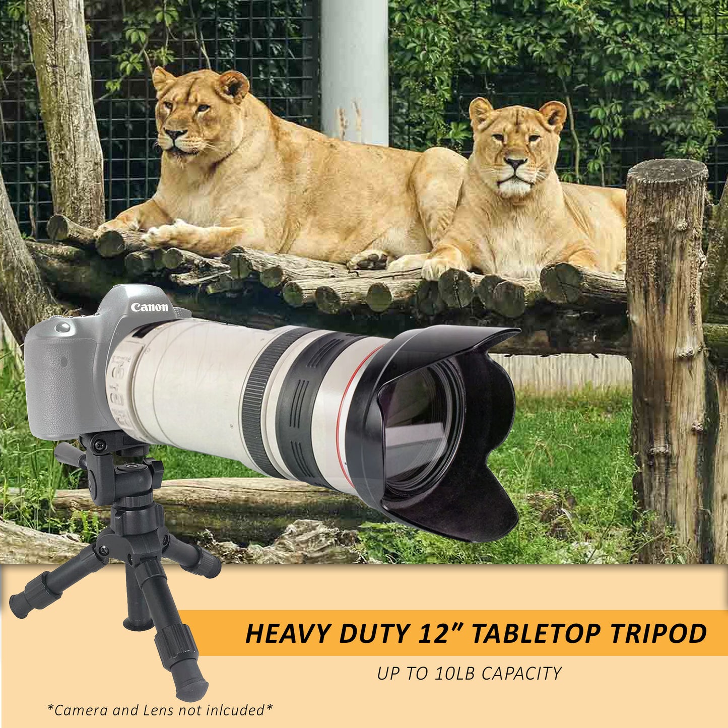 Ultimate Content Creator Studio Kit – LED Lighting, Shotgun Mic, 128GB SD Card, Tripod, Editing Suite & Flash Bracket