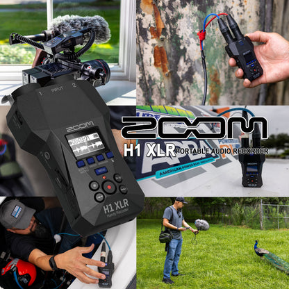 Zoom H1 XLR Portable Audio Recorder for Video