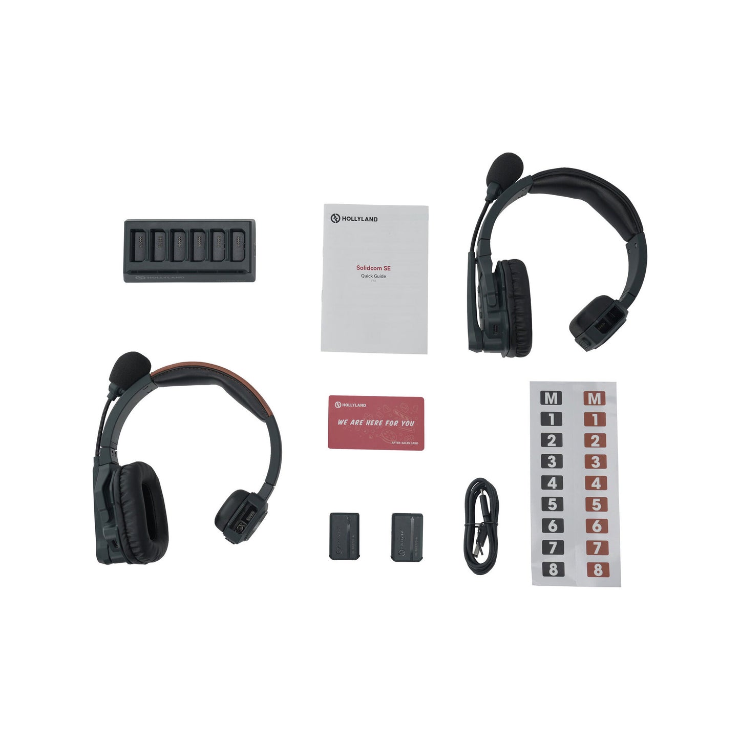 Hollyland Solidcom SE Global 2S 2-Person Full-Duplex Single-Ear Noise Cancellation Wireless Intercom Headset System (2.4 GHz)