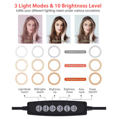 Hollyland LARK A1 Mini Duo 2-Person Wireless Mic System for iOS + 10" RGB LED Ring Light & Tripod