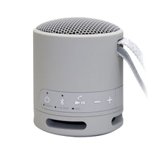 Sony XB100 Portable Waterproof Bluetooth Speaker (Gray)