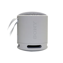 Sony XB100 Portable Waterproof Bluetooth Speaker (Gray) + JBL T110 In-Ear Headphones