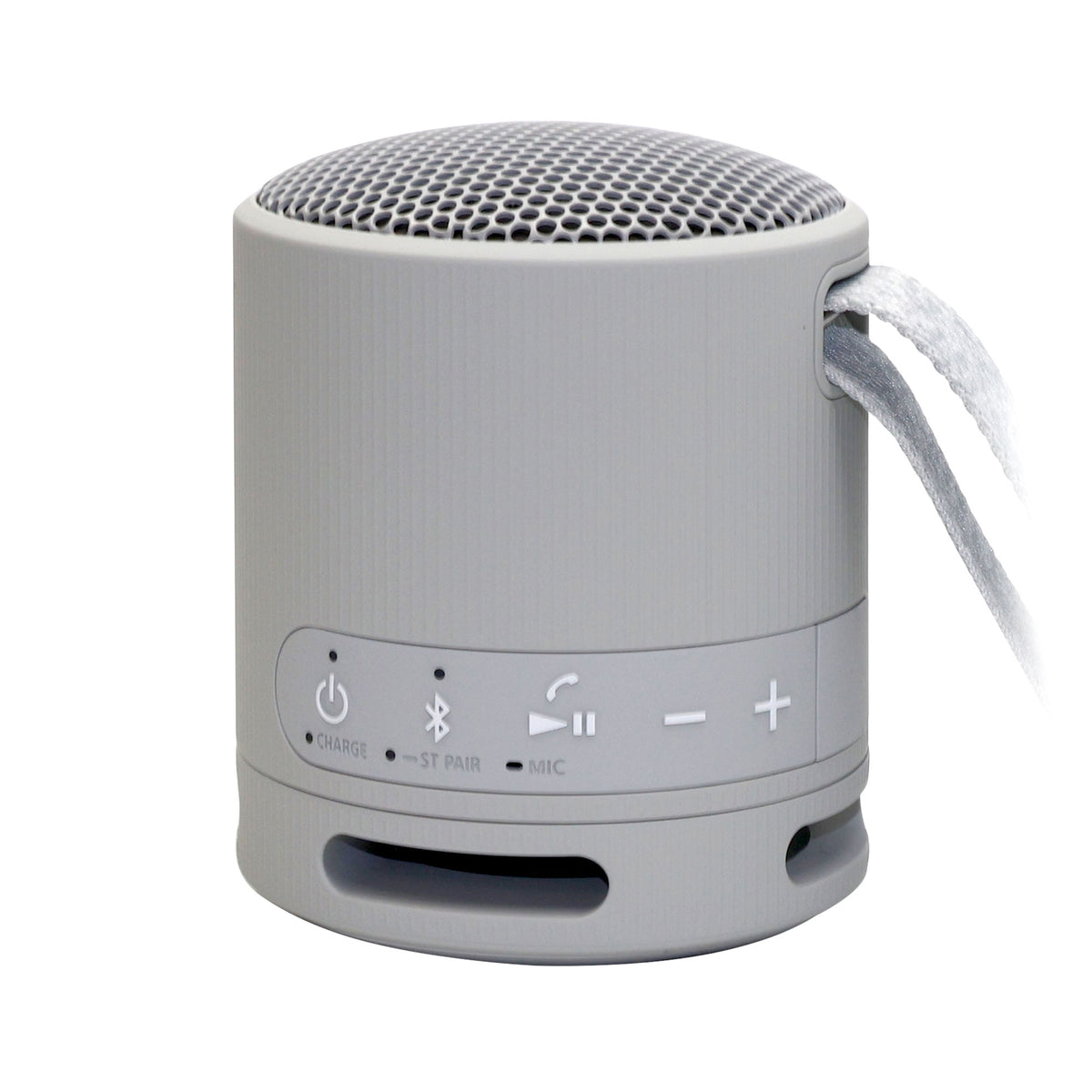 Sennheiser RS 195 Digital Wireless Headphone System for TV Listening + Sony XB100 Portable Waterproof Bluetooth Speaker (Gray)