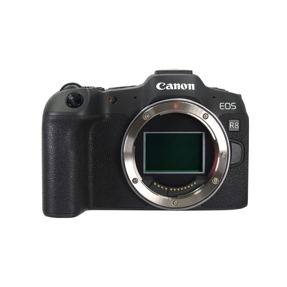 Canon EOS R8 Mirrorless Camera with RF 24-105mm f/4-7.1 IS STM Lens and Transcend 64GB 300S SDXC Class 10 Memory Card