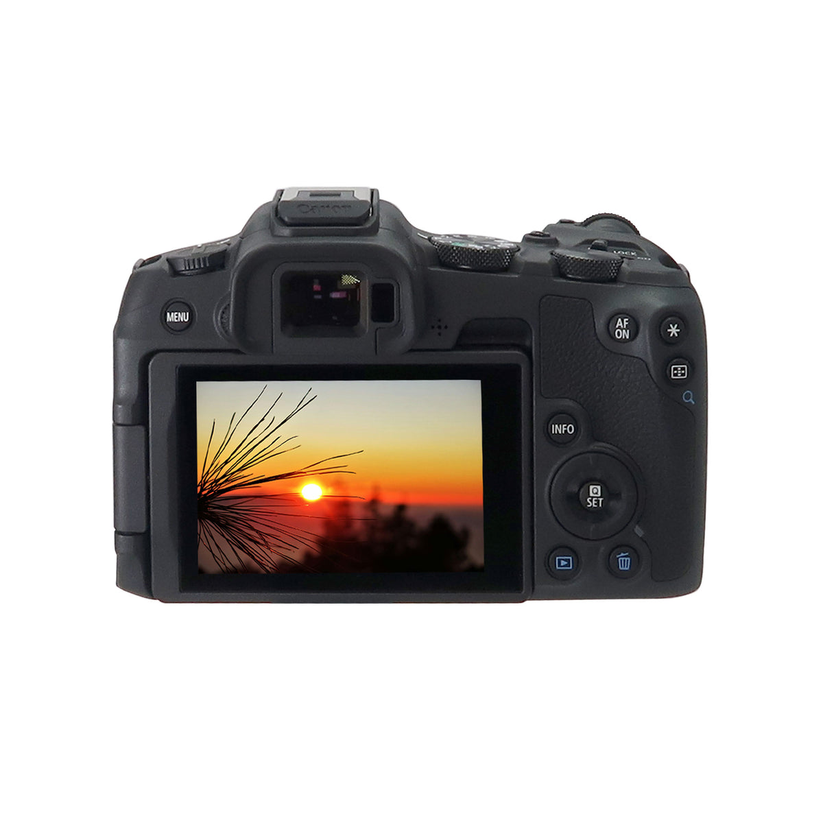 Canon EOS R8 Mirrorless Camera with RF 24-105mm f/4-7.1 IS STM Lens and Transcend 64GB 300S SDXC Class 10 Memory Card