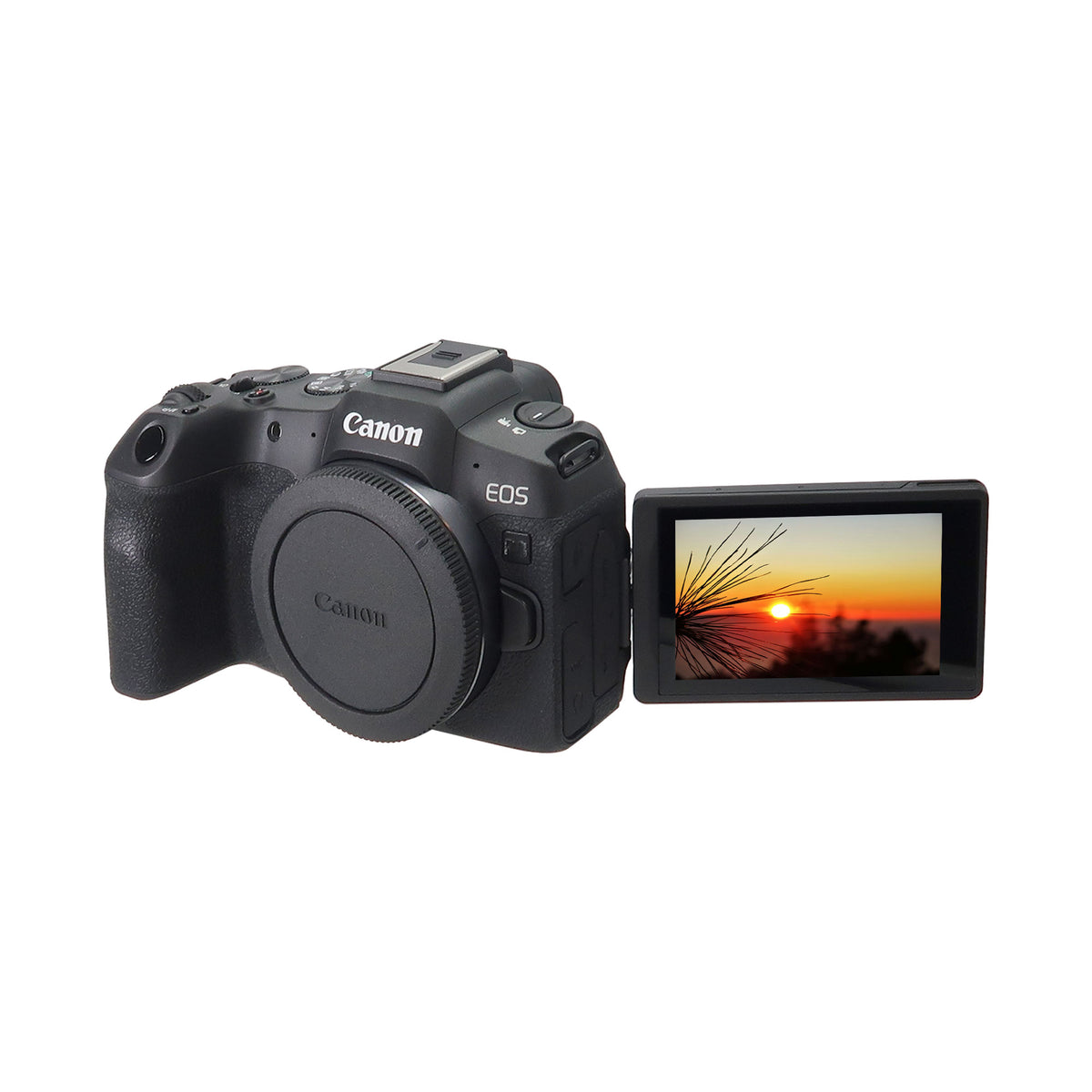 Canon EOS R8 Mirrorless Camera with RF 24-105mm f/4-7.1 IS STM Lens Pro Accessory Bundle