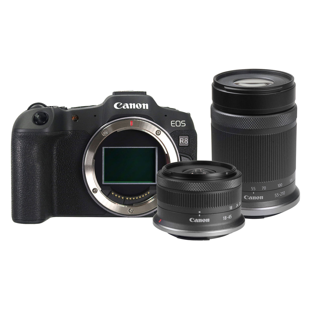 Canon EOS R8 Mirrorless Camera with RF-S 18-45mm f/4.5-6.3 IS STM Lens and RF-S 55-210mm f/5-7.1 IS STM Lens