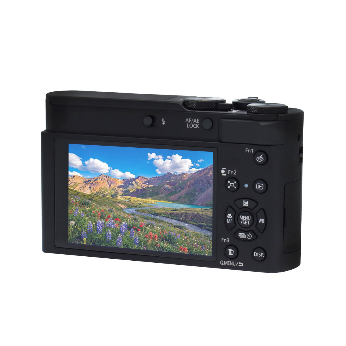 Panasonic LUMIX ZS300 20.1MP Digital Camera (Black)
