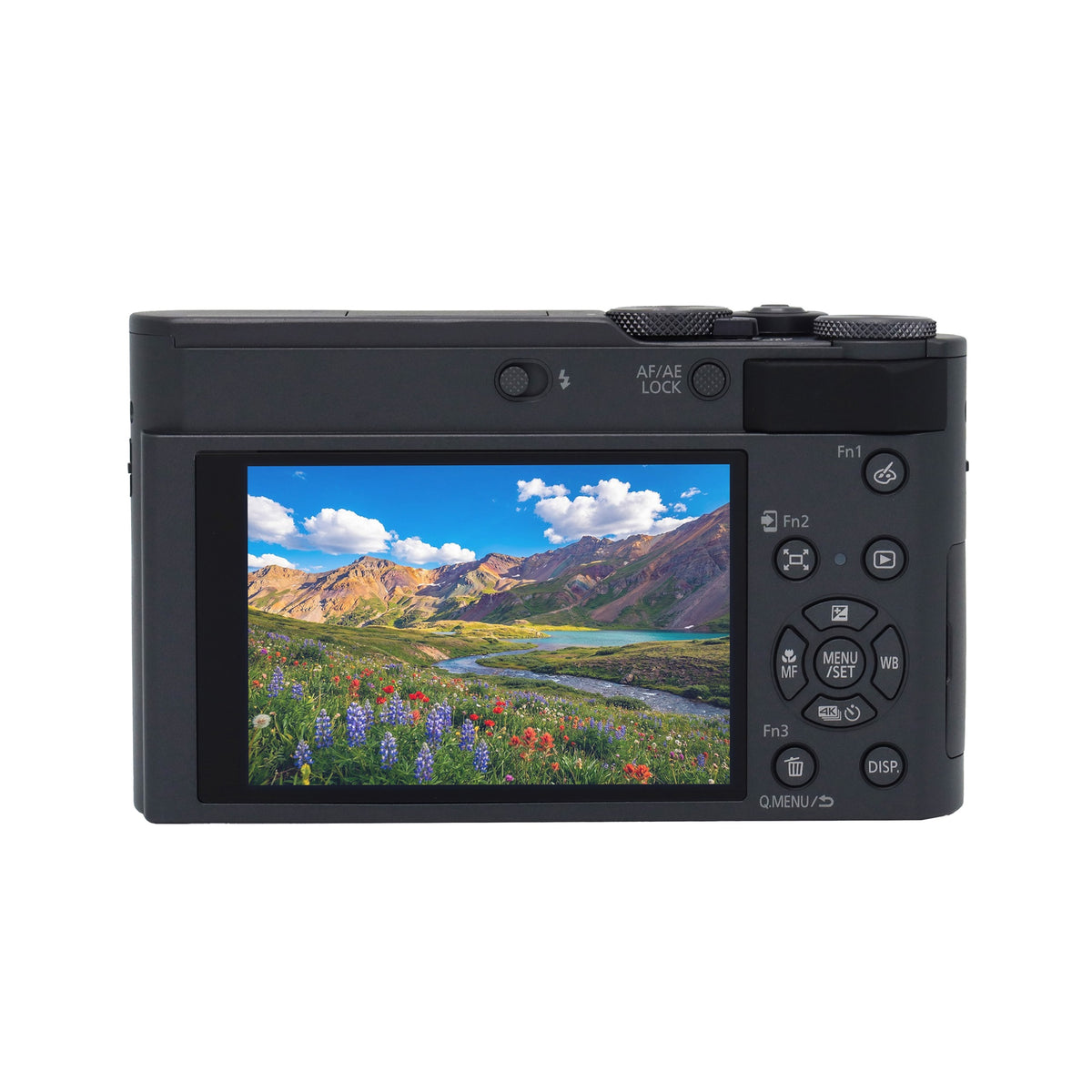 Panasonic LUMIX ZS300 20.1MP Digital Camera (Silver)