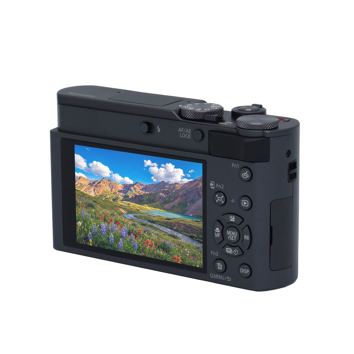 Panasonic LUMIX ZS300 20.1MP Digital Camera (Silver)
