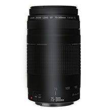 Canon EF 75-300mm f/4-5.6 III Telephoto Zoom Lens with Accessory Bundle for Canon 70D , 77D , 80D and 760D