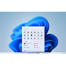 Microsoft Windows 11 Home (USB)