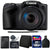 Canon PowerShot SX430 IS Digital Camera with Accessory Kit