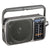 Panasonic RF-2400D Portable FM and AM Radio with AFC Tuner Silver with 12 AA Batteries