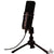 Zoom ZUM-2 Podcast Microphone with Desktop Stand, Cable & Windscreen