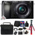 Sony Alpha A6100 Full HD 120p Video Mirrorless Digital Camera with Sony 16-50mm Lens Accessory Kit