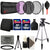 32GB Deluxe Accessory Kit with NB-10L Battery for Canon Powershot SX60