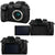 Panasonic Lumix DC-GH5 Mirrorless Micro Four Thirds Digital Camera (Body Only) + Panasonic Lumix G Leica DG Summilux 12mm f/1.4 ASPH Lens for Micro 4/3 + 32GB Memory Card + Camera Case