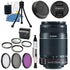Canon EF-S 55-250mm IS II Lens for Canon Digital SLR DLSR w/ Lens Caps & More