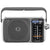 Panasonic RF-2400D Portable FM/AM Radio with AFC Tuner
